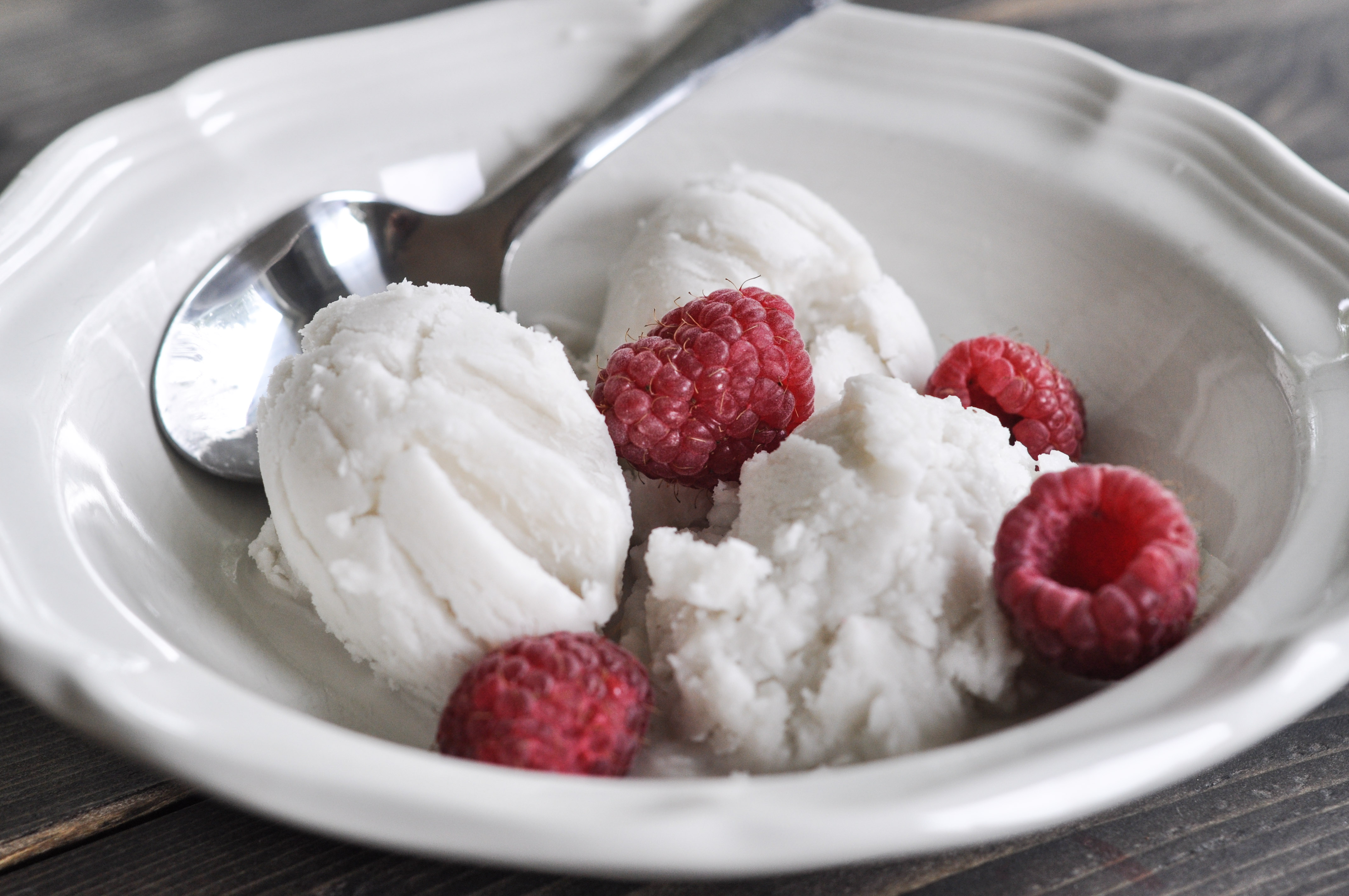 Coconut Milk Ice Cream